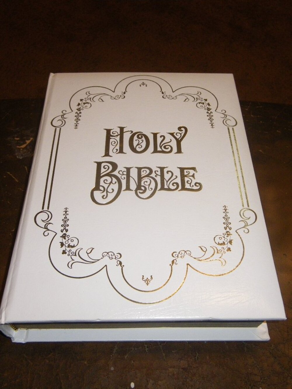 Vintage 1987 Holy Bible NAB Catholic Family Record Edition Leather Cover